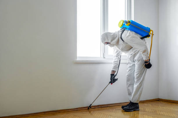 Best Mosquito Control Services  in Lowellville, OH