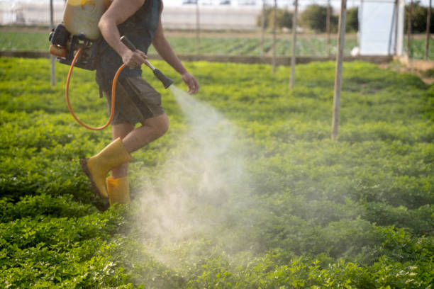 Best Affordable Pest Control Services  in Lowellville, OH
