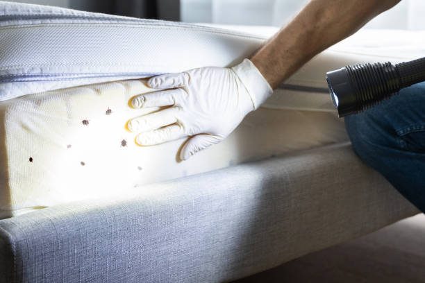 Best Emergency Pest Control  in Lowellville, OH