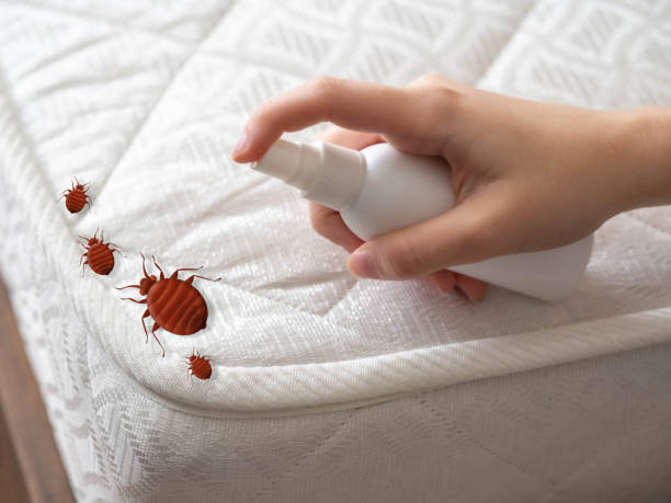 Best Insect Control  in Lowellville, OH